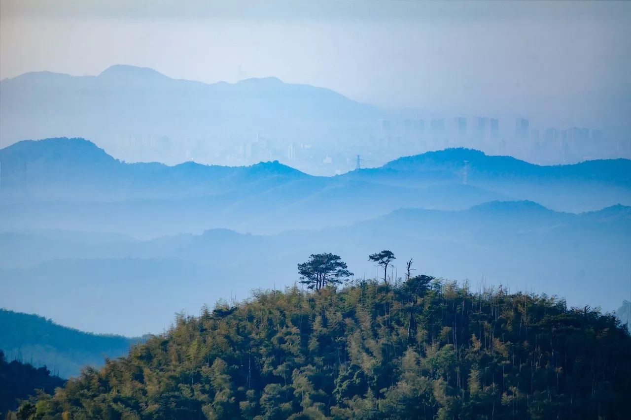 莫干山·三秋美宿，一日不见三秋盼兮