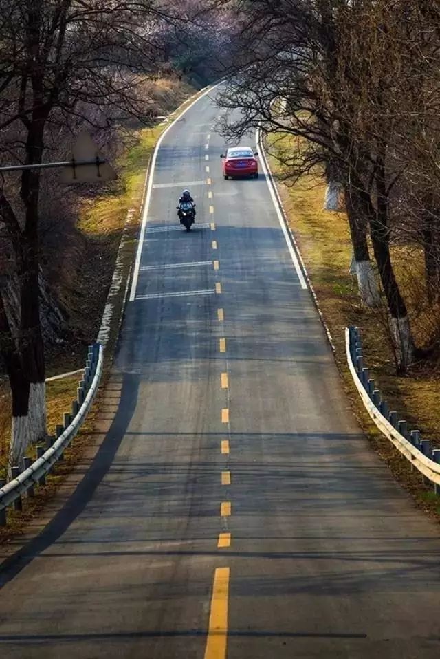 北京·山楂小院，留住最土的乡味和温暖的人心