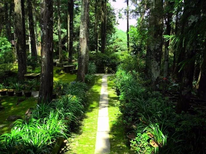 “中国最美寺院”寂照庵，房子象征着家是情感