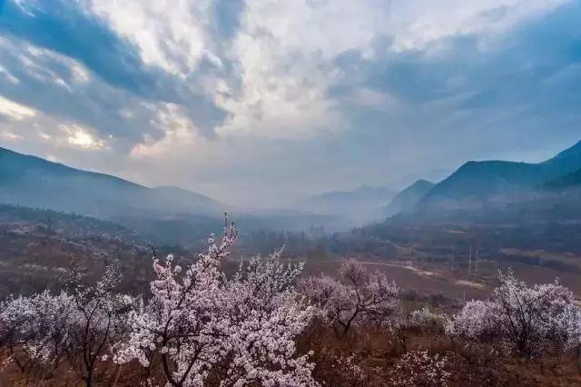 北京·山楂小院，留住最土的乡味和温暖的人心