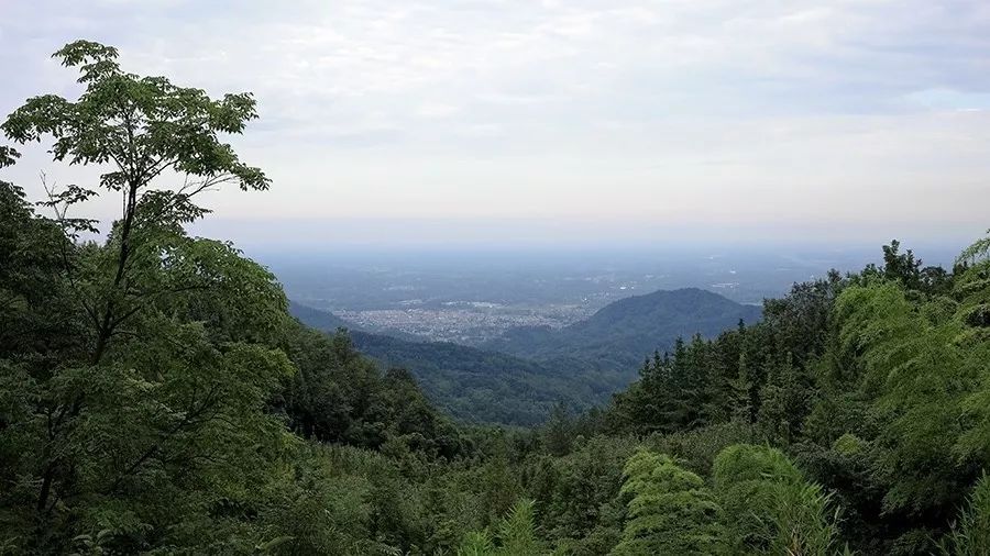 青城山·路之青城，山沟里的猪圈民宿