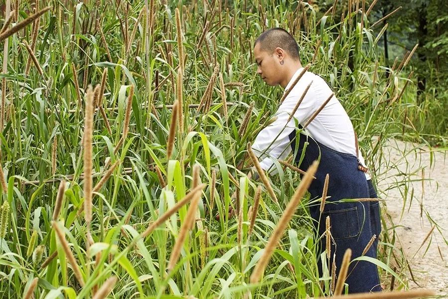 青城山·路之青城，山沟里的猪圈民宿