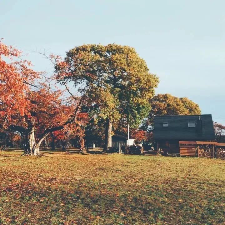 北海道的海滨小镇，一家四口的日子才最幸福