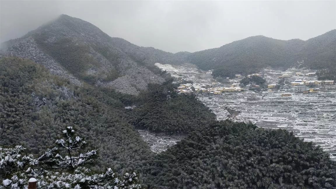 丽水·云逸远山，在牡丹亭有个仲夏夜之梦