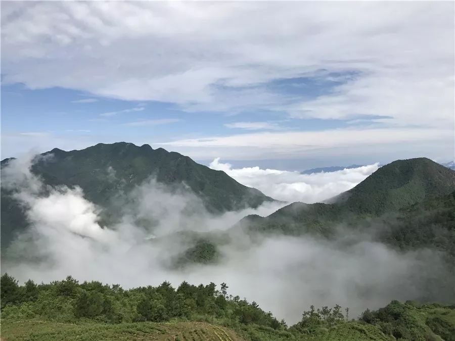 丽水·云逸远山，在牡丹亭有个仲夏夜之梦