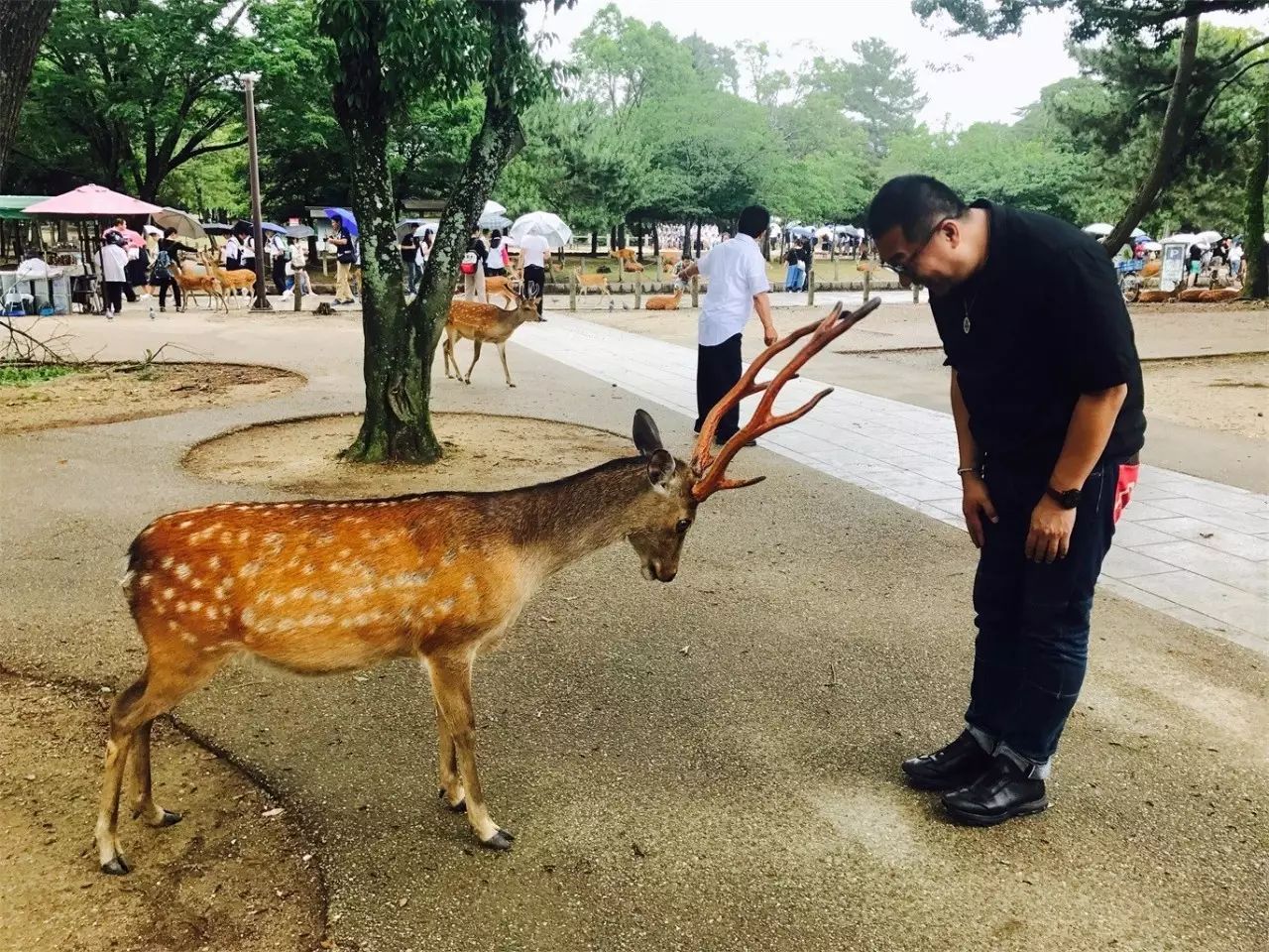 武夷山·旧街山宿，理想生活就是慢下来