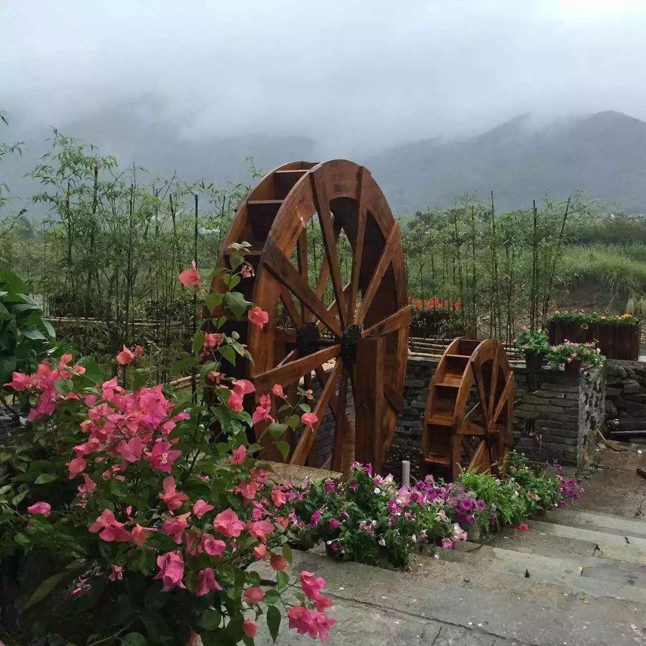 宁波·花雨醉，品花间一壶酒听雨后醉朦胧