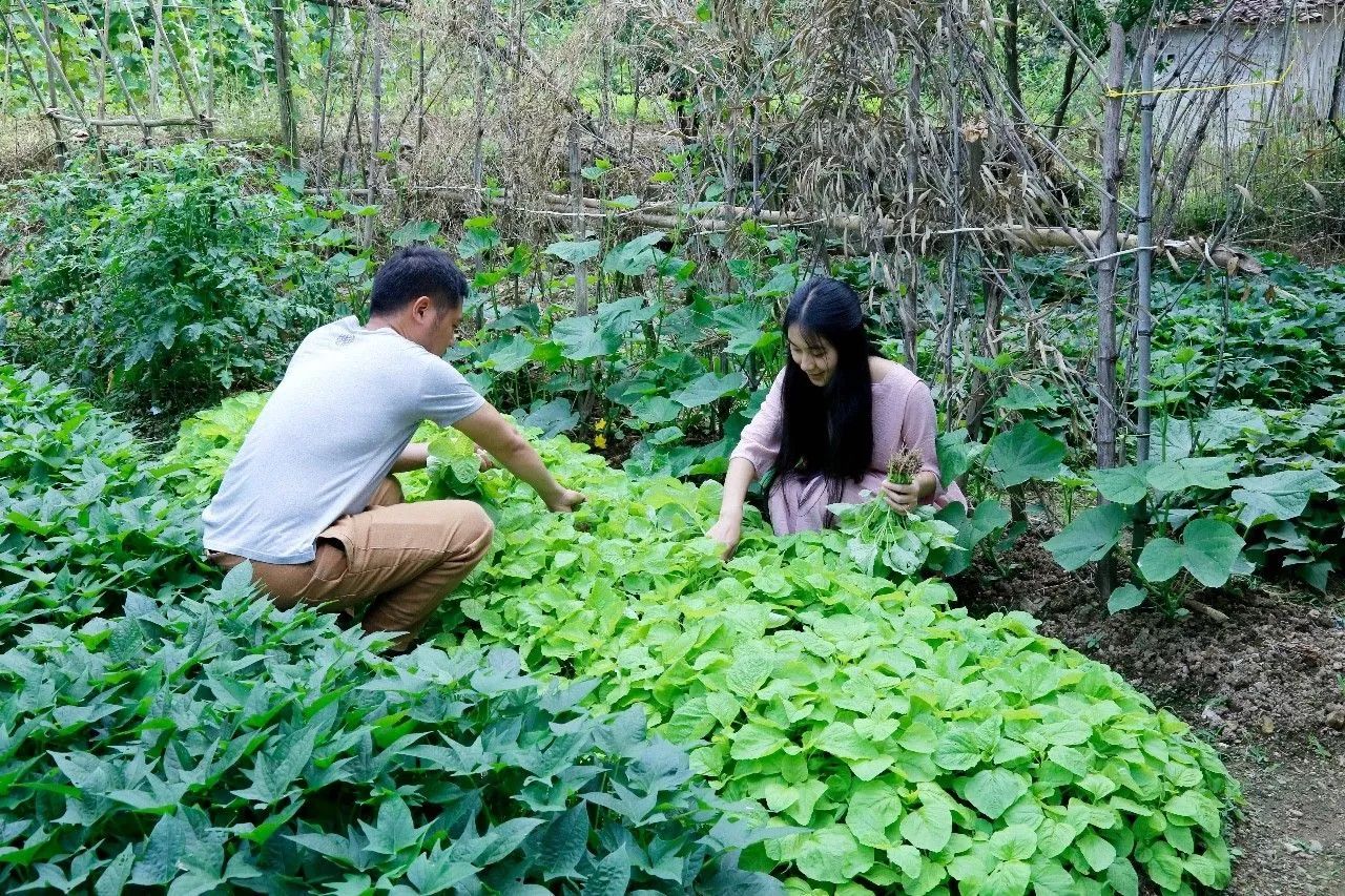 村上酒舍，体验古村生活一起慢慢变老