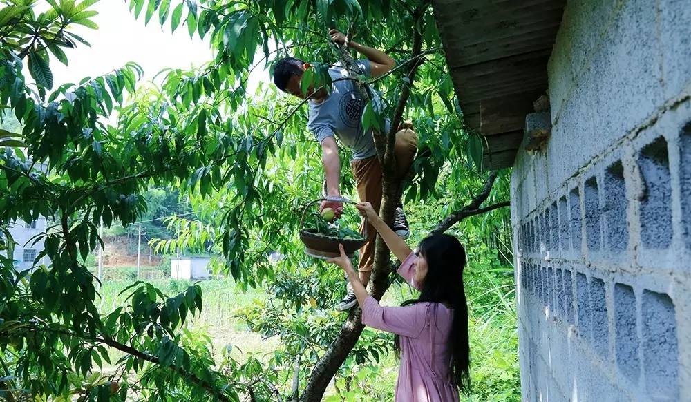 村上酒舍，体验古村生活一起慢慢变老