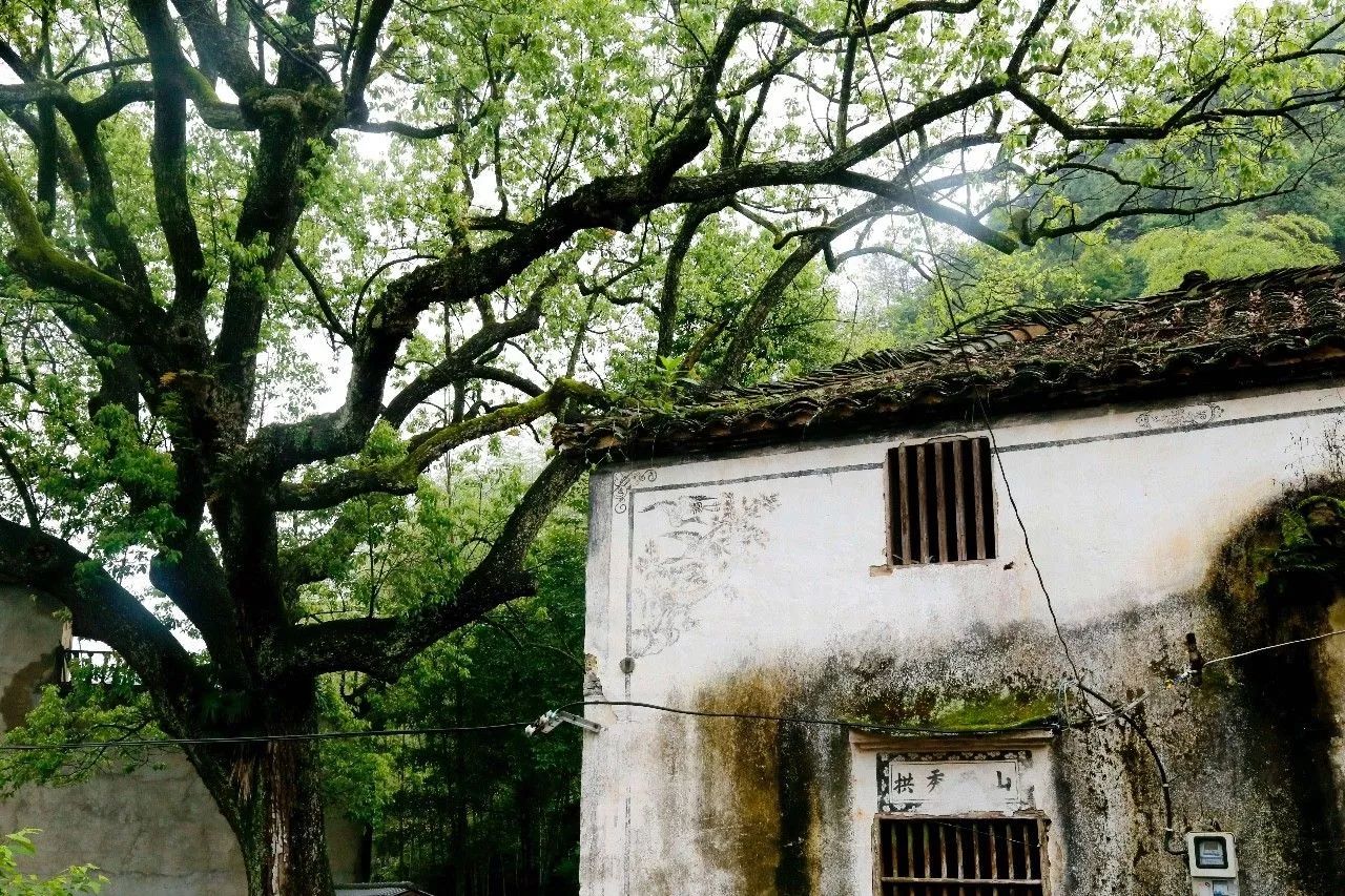 村上酒舍，体验古村生活一起慢慢变老