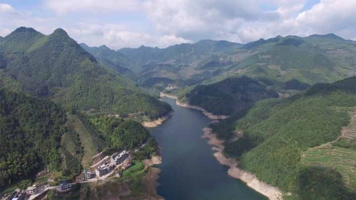 丽水·浮光，浮光指路茶香入梦盖一间湖畔大学