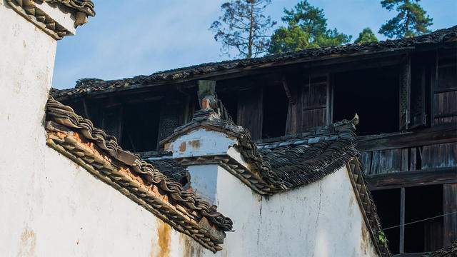 丽水·浮光，浮光指路茶香入梦盖一间湖畔大学