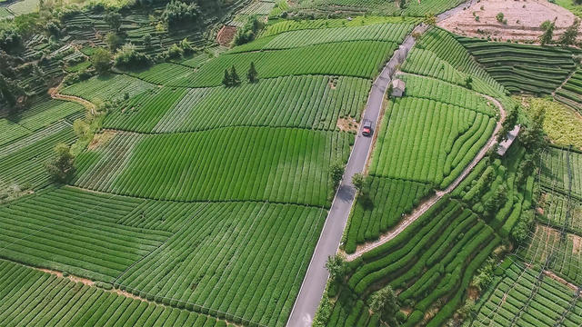 丽水·浮光，浮光指路茶香入梦盖一间湖畔大学