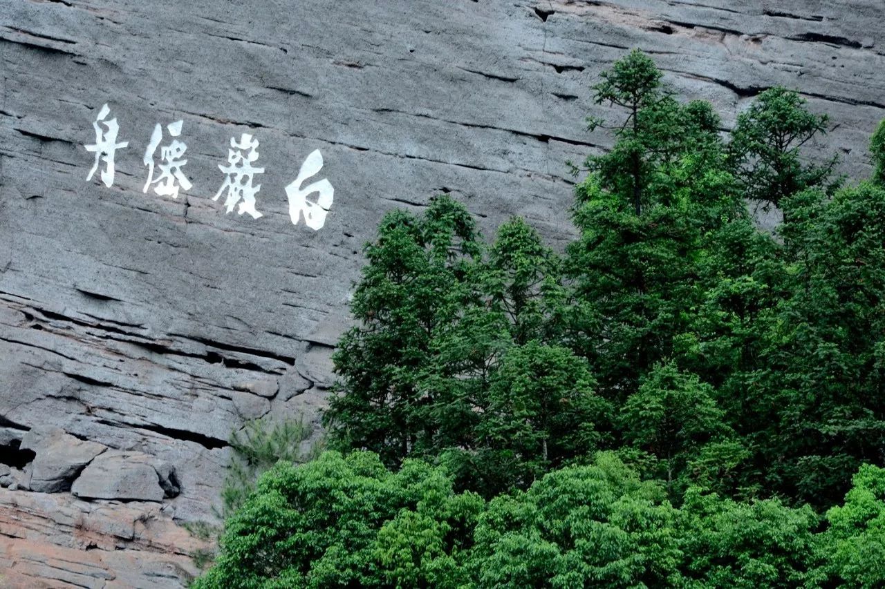 武夷山·山玖如意庄，一杯清茶一万个品茶人