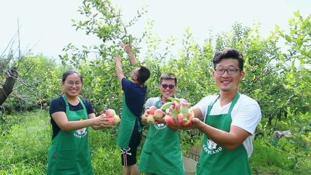 烟台·极客客栈，欢迎每一颗想要逃离的心