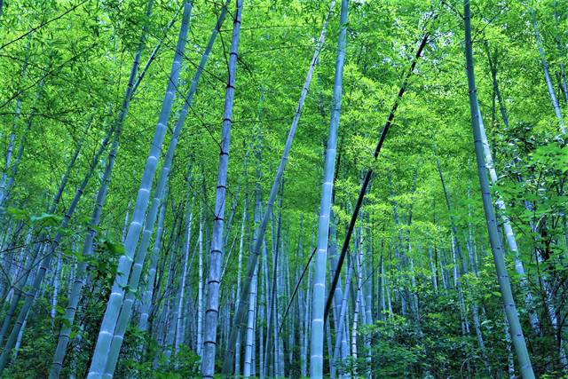 云门山居，雕琢厨艺隐居世外匠心如一