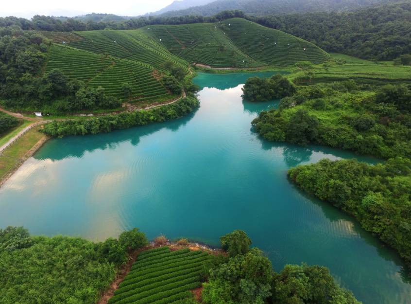 茗墅茶庄园，西湖以外的西湖