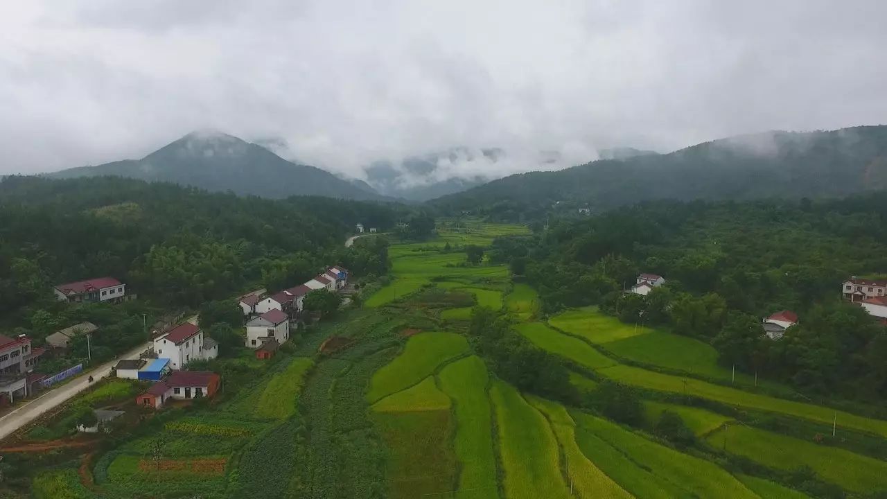 陌上·花溪堂，陌上花开笑颜倾城