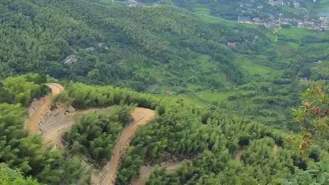 珀洱半坡，在竹海树林之间尽享山间好风光