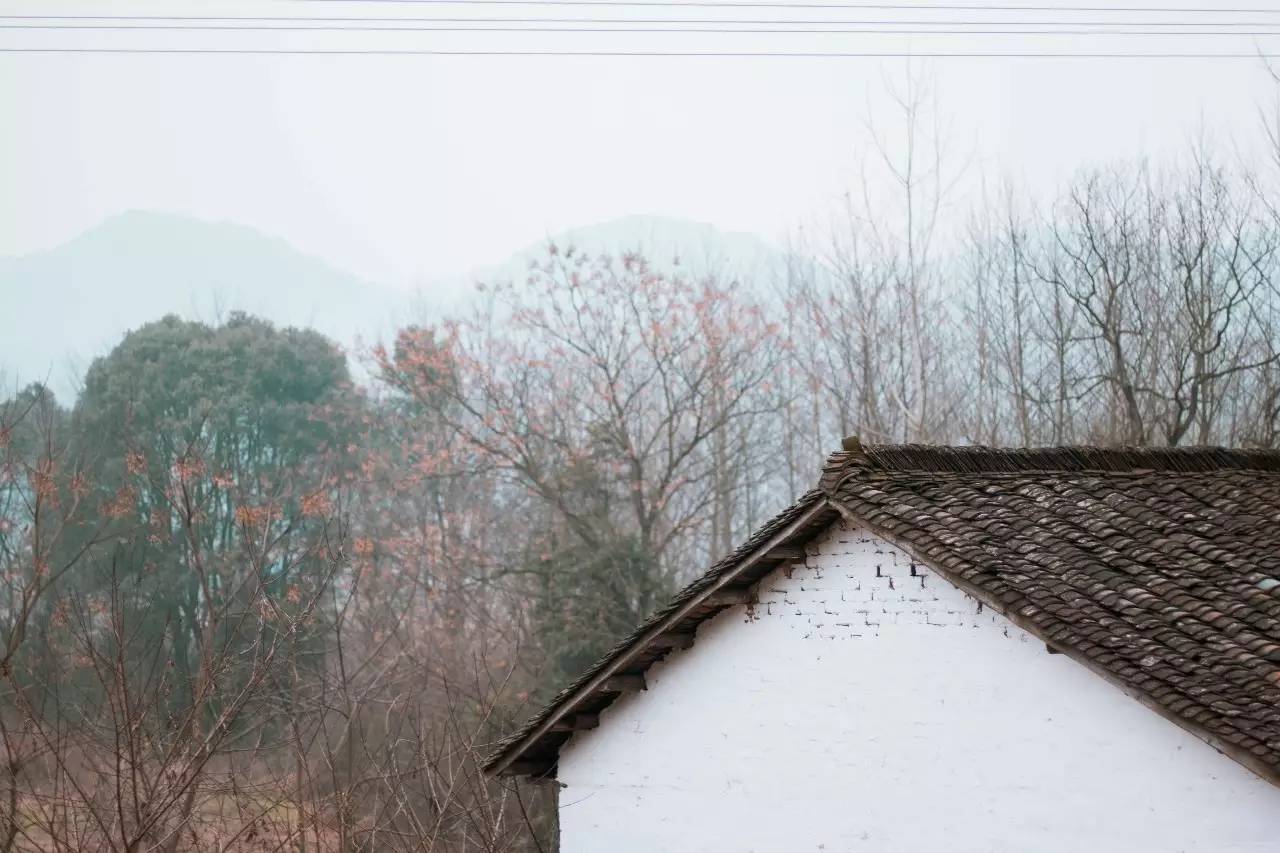 瓜洲云裳山村，春风又绿江岸春