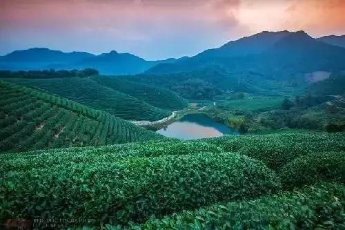 瓜洲云裳山村，春风又绿江岸春