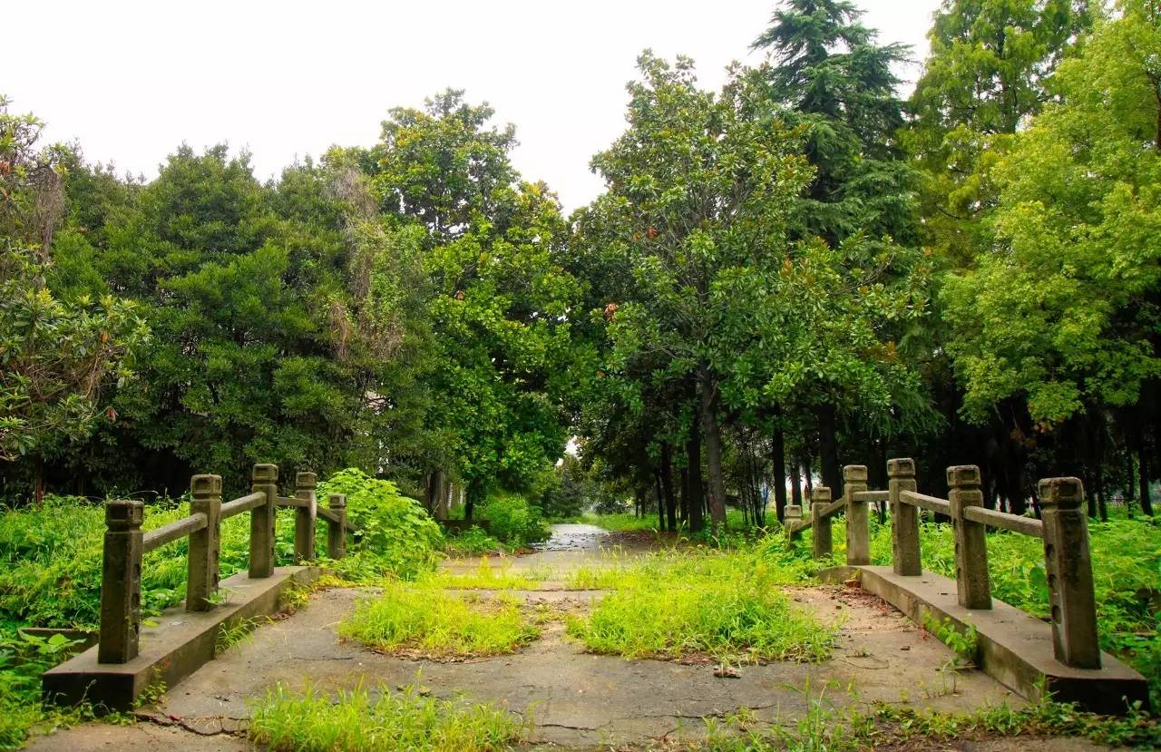 瓜洲云裳山村，春风又绿江岸春