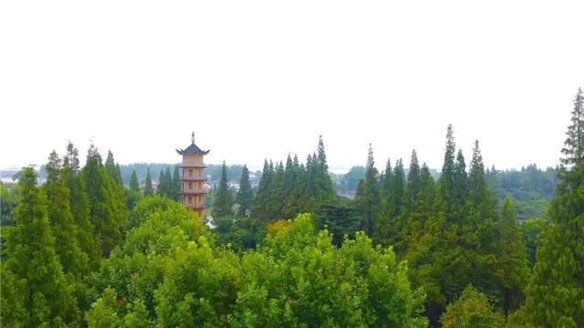 瓜洲云裳山村，春风又绿江岸春