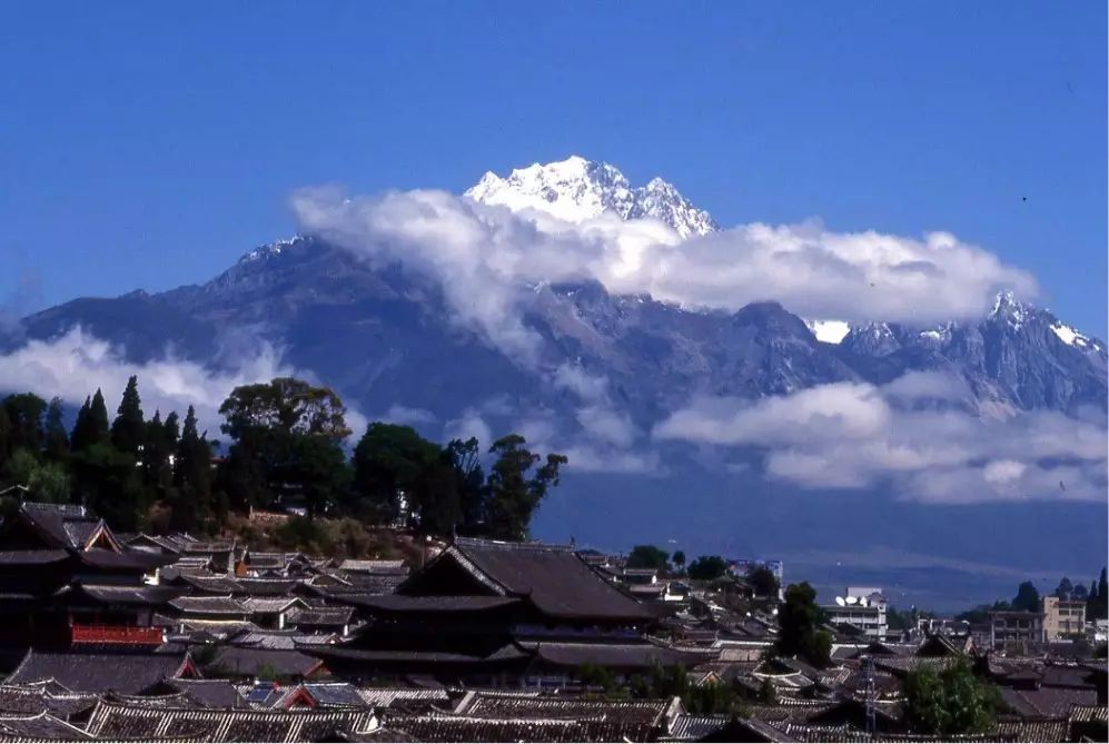 束河桃花坞，在茶马古道浮生清闲陪父母慢慢变