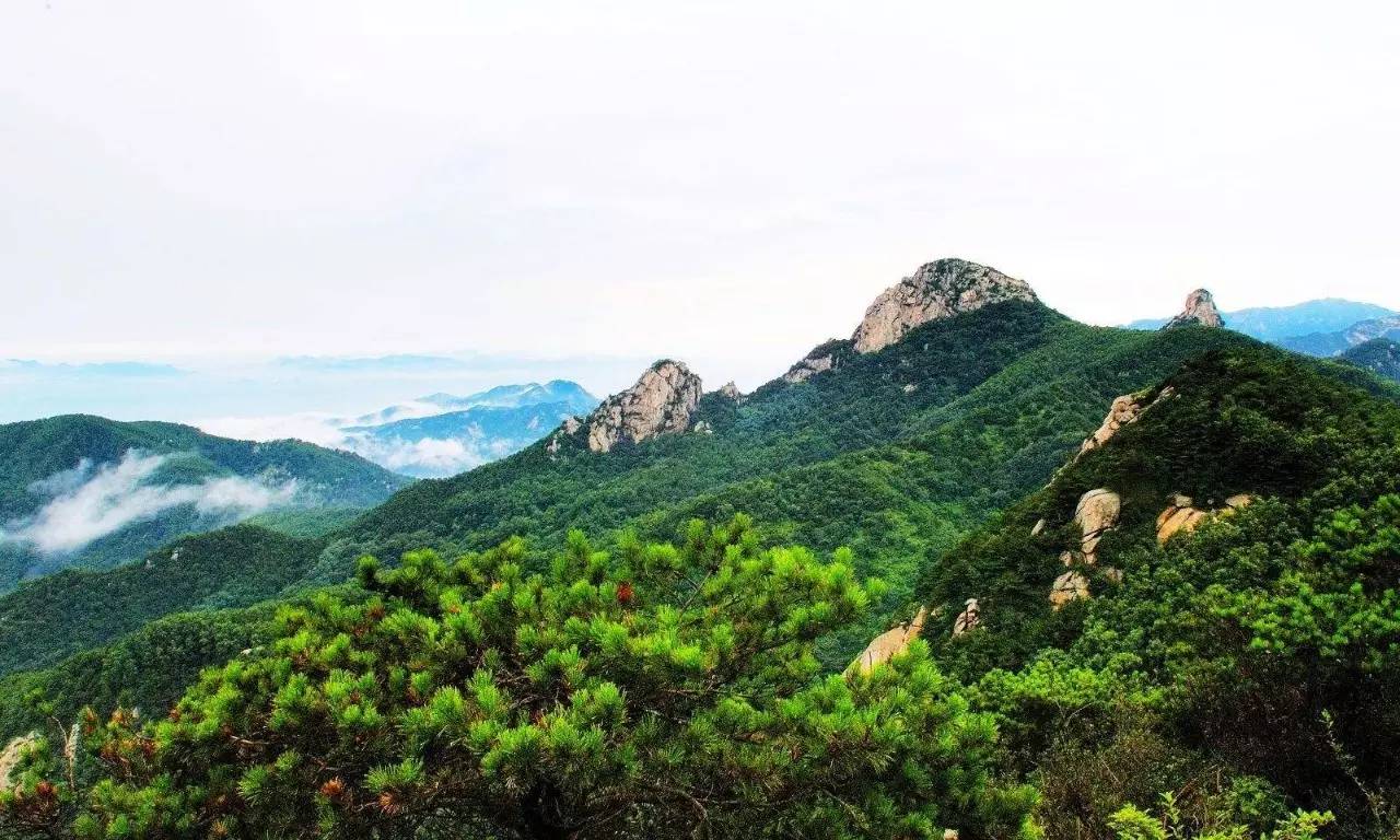 沂蒙山舍，呼吸大自然“卧听松啸 伴山而眠”