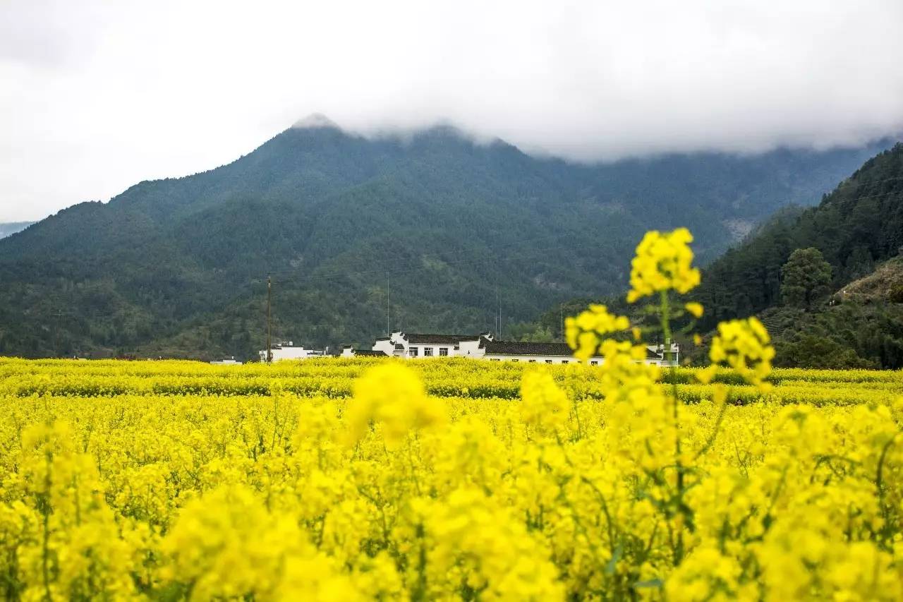 墅家墨娑西冲院，活了的老宅诉说旧日的时光