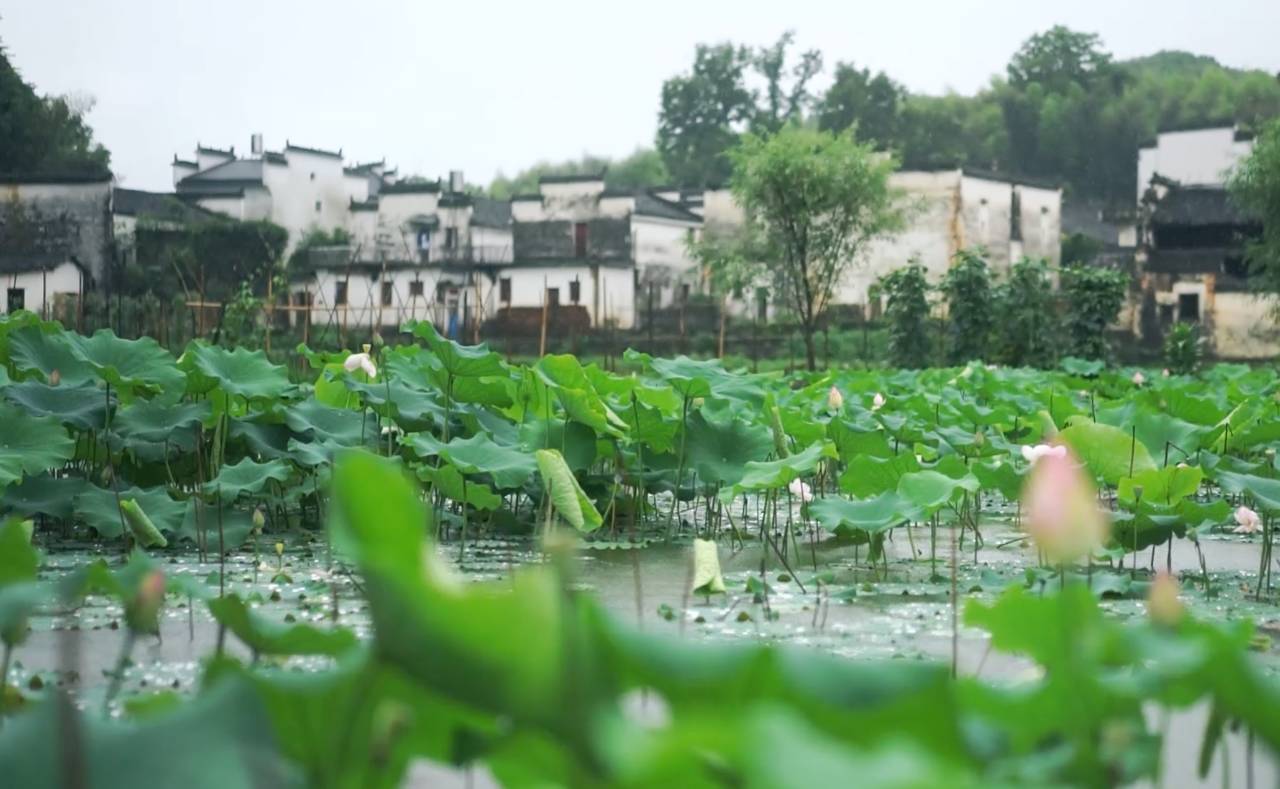 墅家墨娑西冲院，活了的老宅诉说旧日的时光