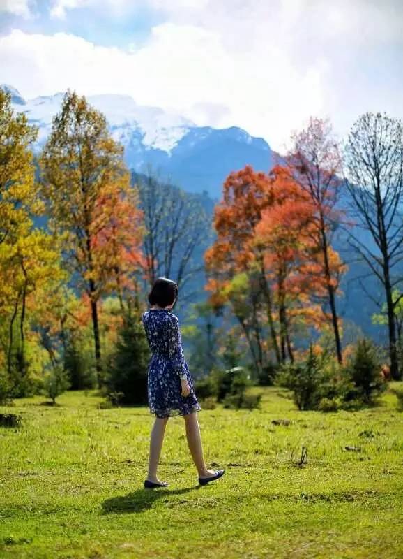 若丁山七号营地，无数人向往的“星空露营地”