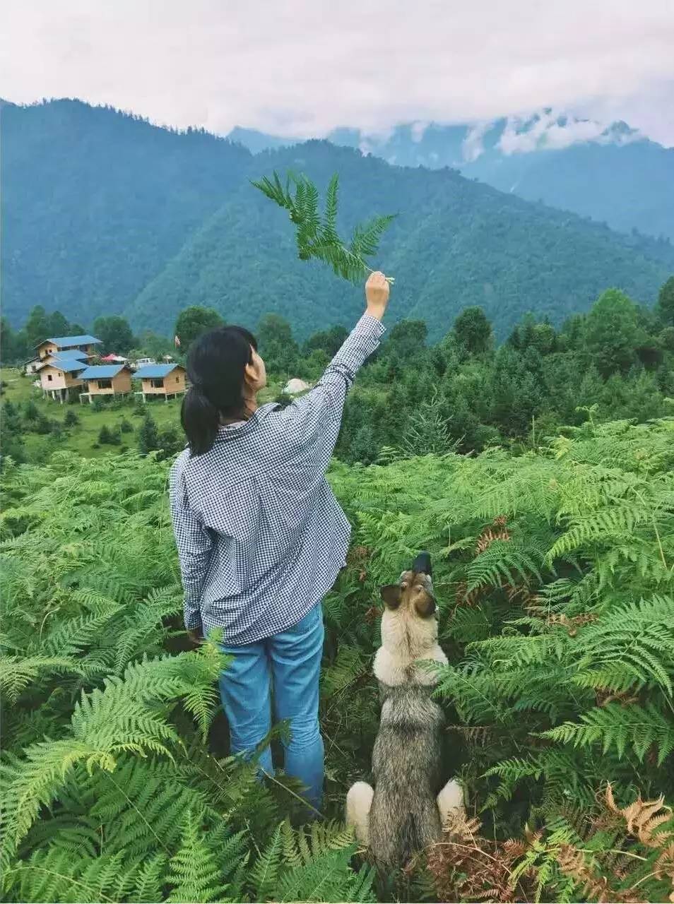 若丁山七号营地，无数人向往的“星空露营地”