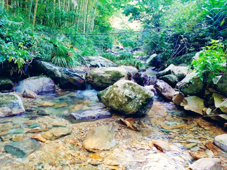 黄山云上民宿，看云卷云舒留住淳朴田园生活