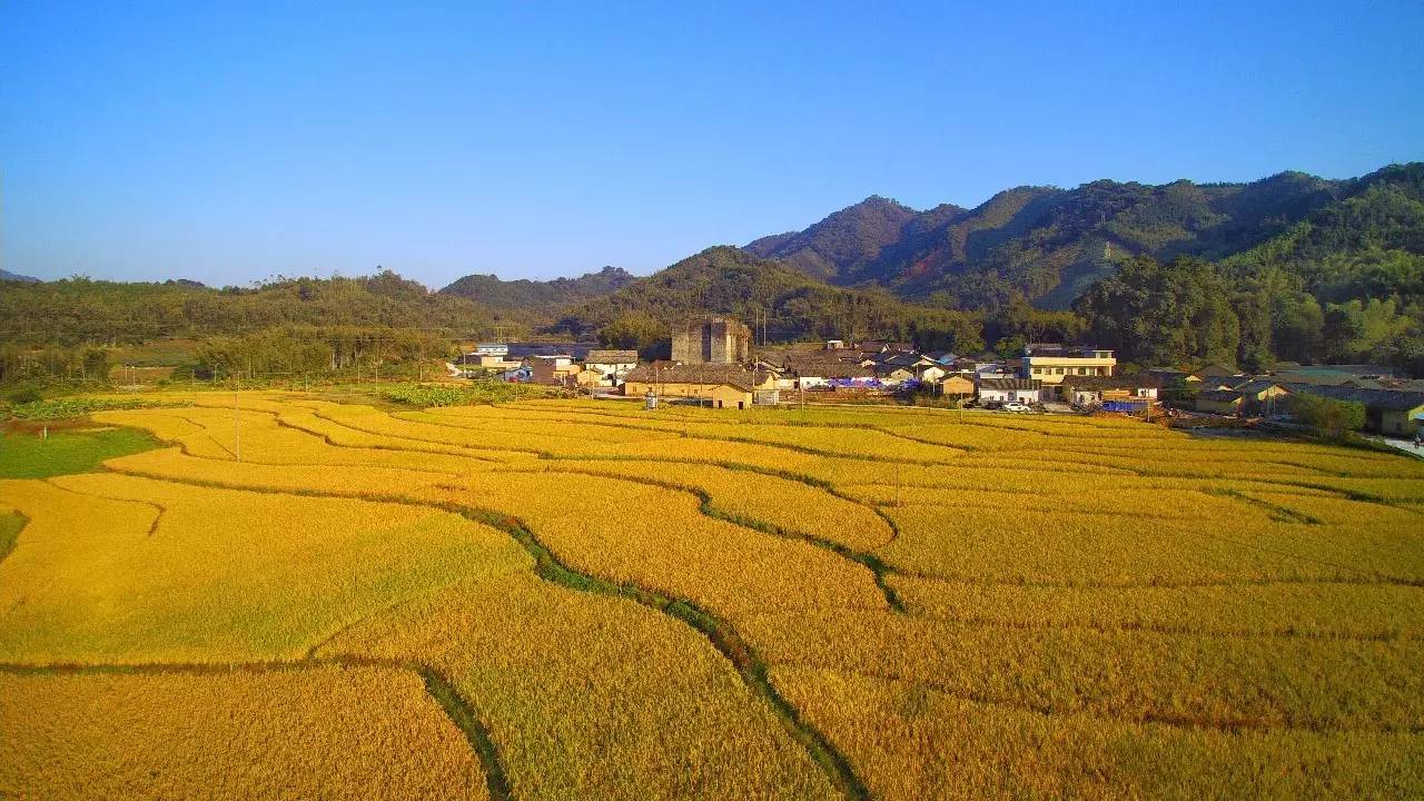 天堂山乡爱树民宿，古色古香的童话小镇