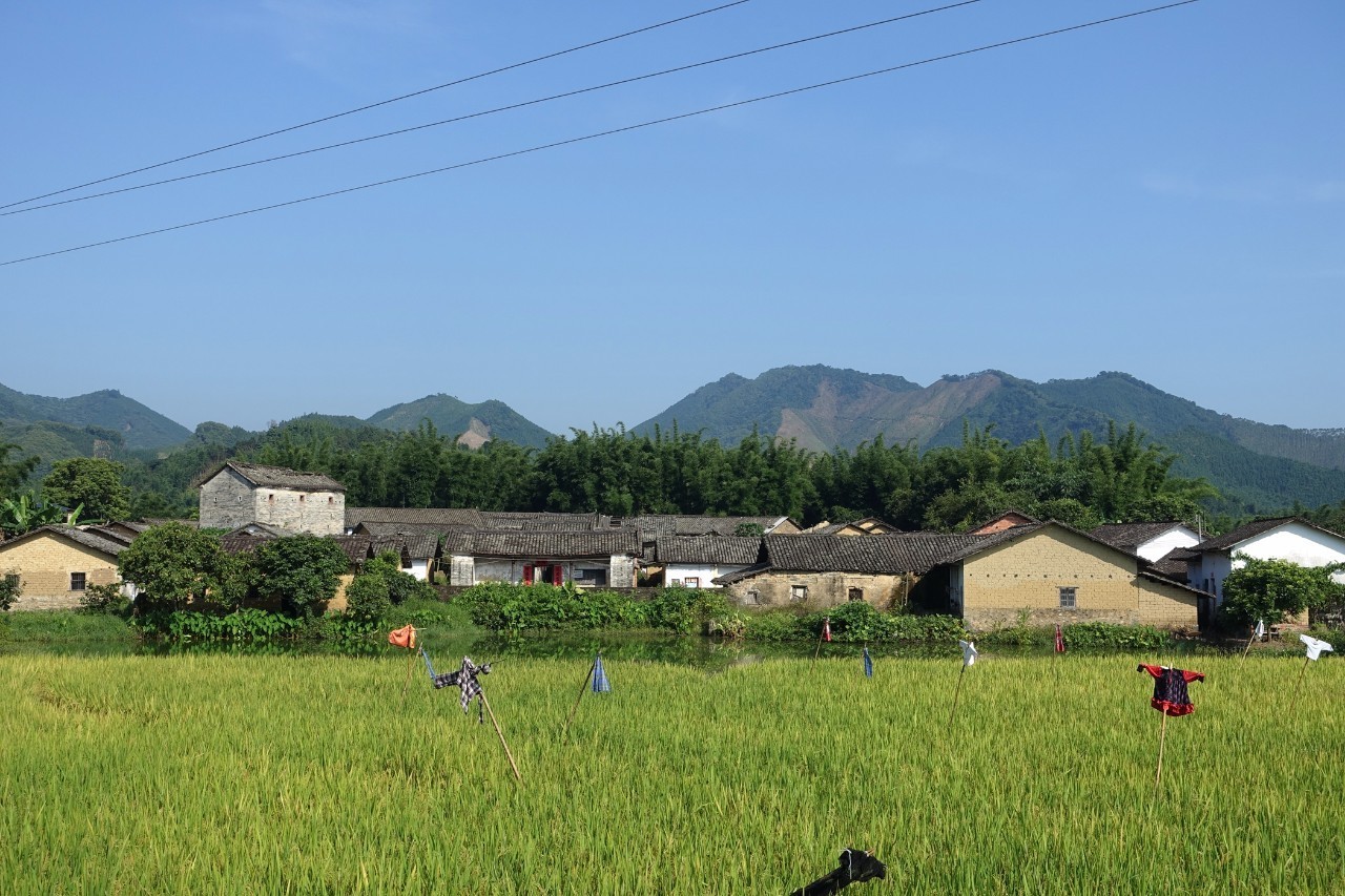 天堂山乡爱树民宿，古色古香的童话小镇