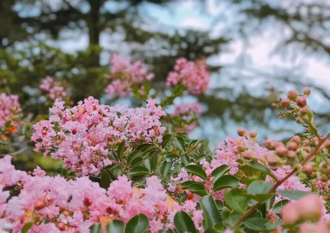 忘山别墅莫干山民宿，一栋百年历史的民国别墅