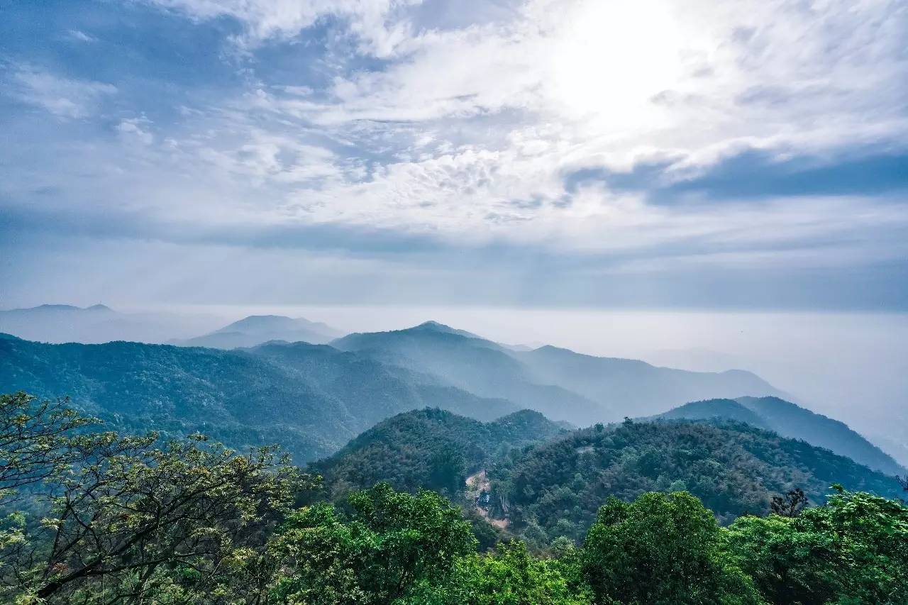 杭州山舍民宿，喝一壶茶闻桂花十里飘香