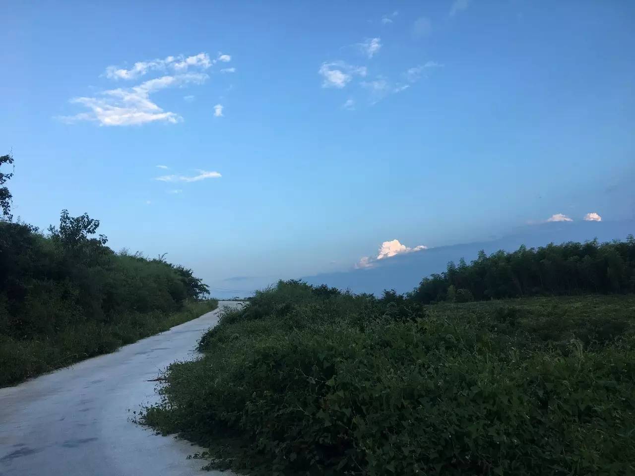 杭州山舍民宿，喝一壶茶闻桂花十里飘香