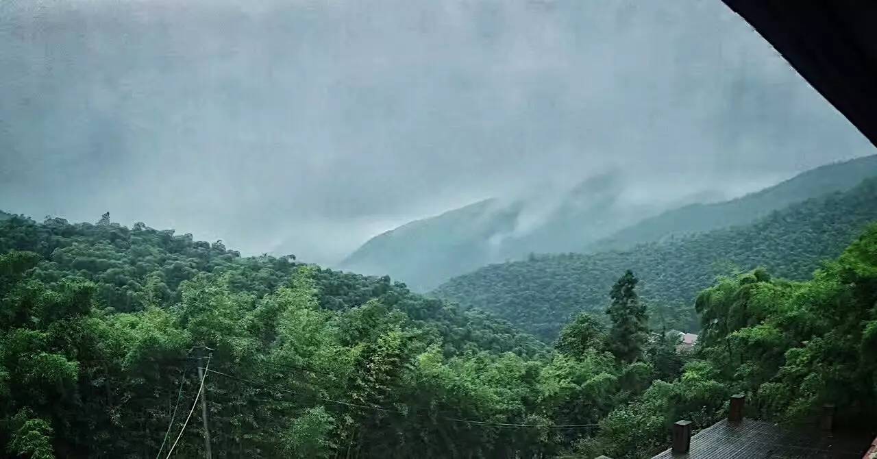 杭州山舍民宿，喝一壶茶闻桂花十里飘香