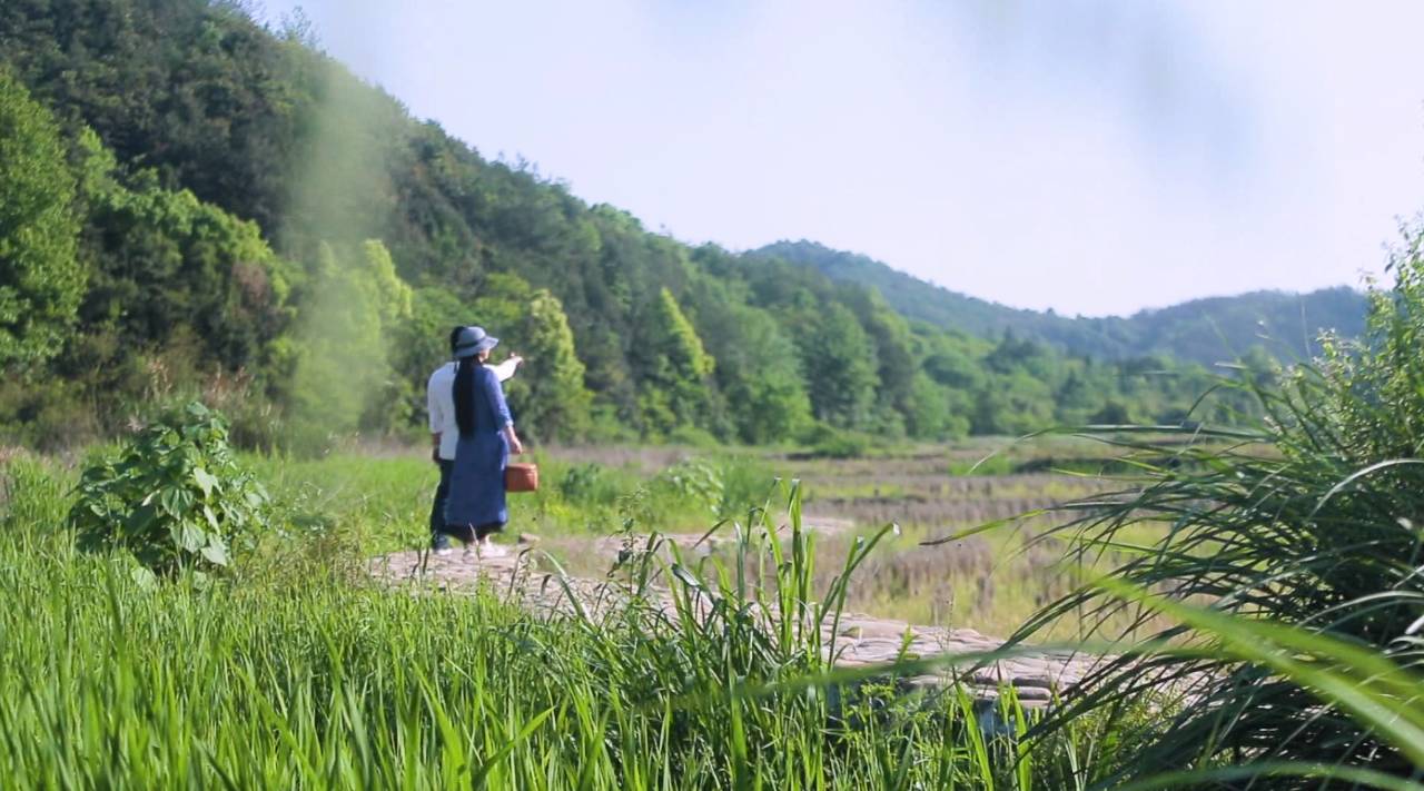 新安江畔谷掌民宿，庄园里享受青山环绕的美景