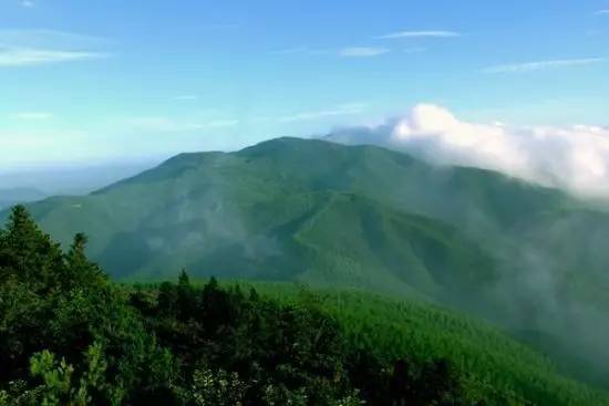 客堂间莫干山民宿，隐居深山聆听自然