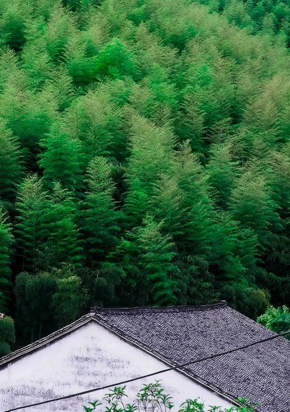 客堂间莫干山民宿，隐居深山聆听自然