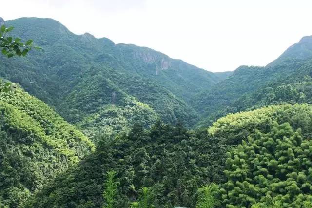 不舍·野马岭中国村民宿，乐在其中不忘初心