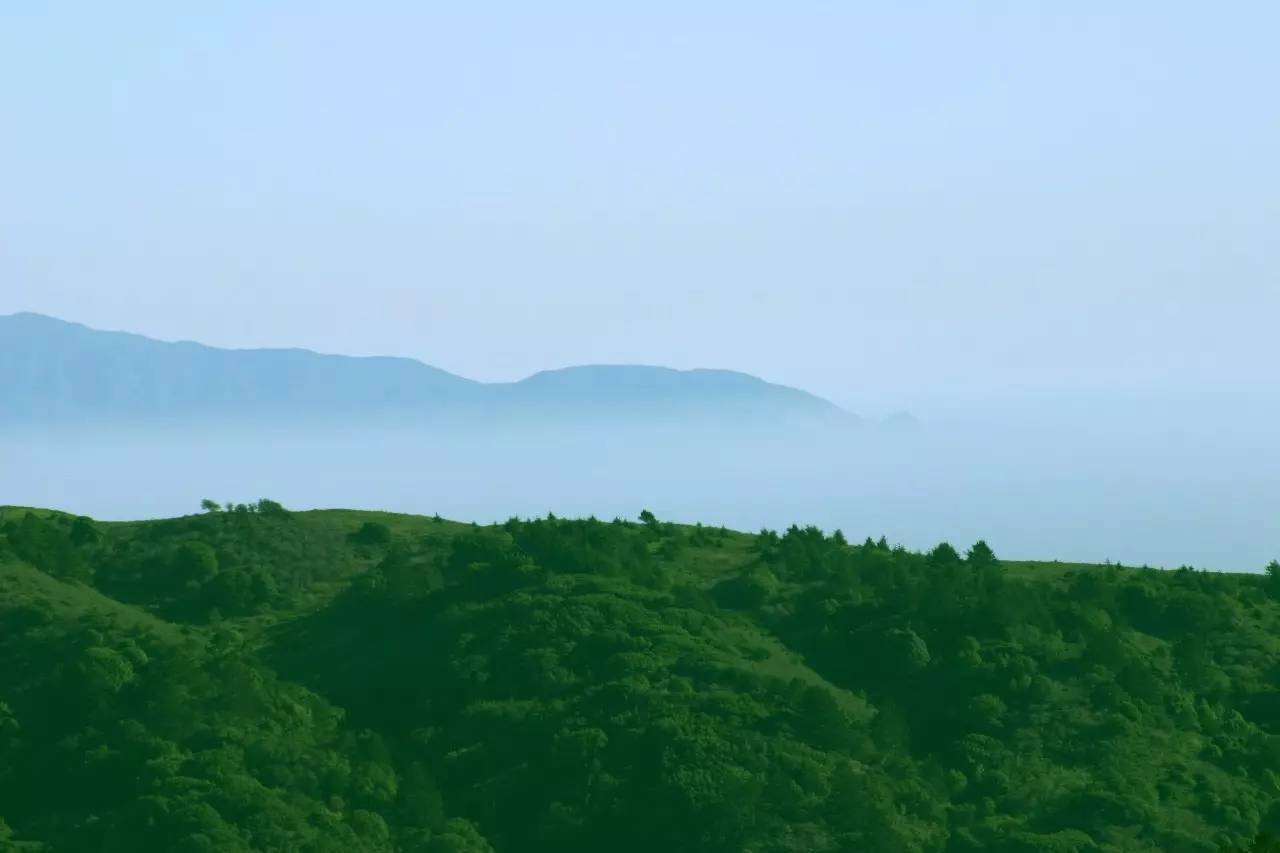 熹园茶宿，禅茶一宿悠然山水间