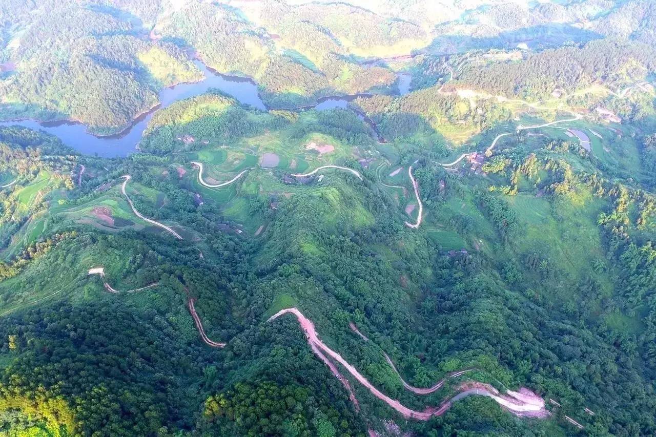 大来山树屋民宿，唤醒古老村庄留住青山绿水