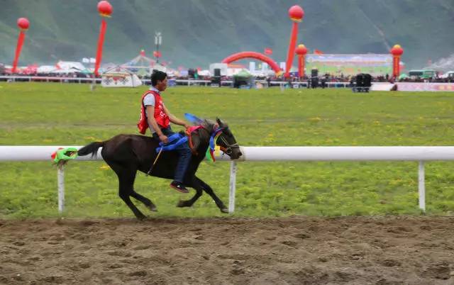 香格里拉非梵之宿，带着你走茶马古道