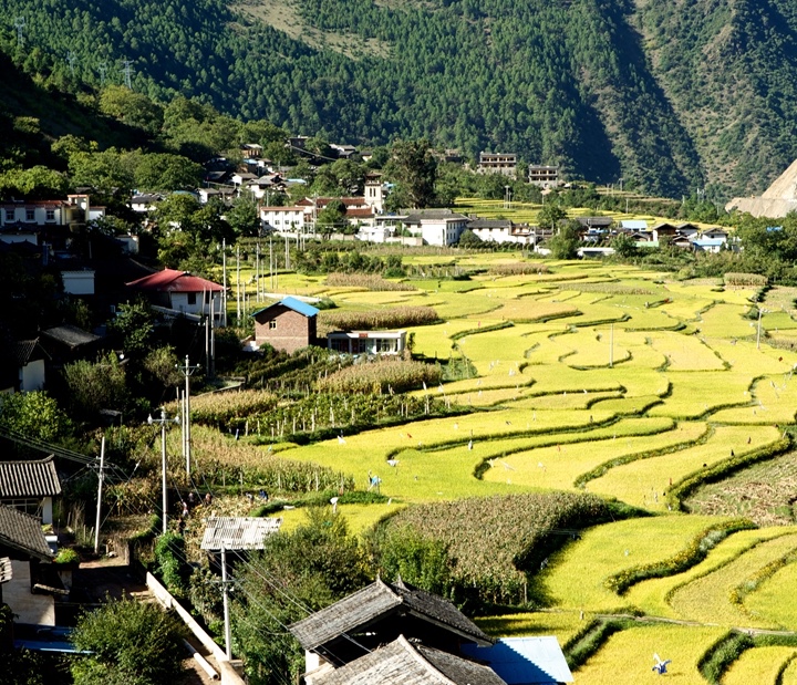 香格里拉松赞茨中民宿