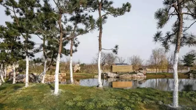 中式装修，禅意茶室