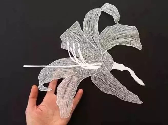 栩栩如生的纸雕艺术作品欣赏(20张）